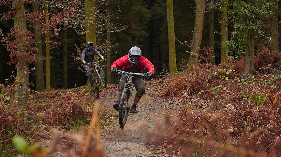 family cycling forest of dean