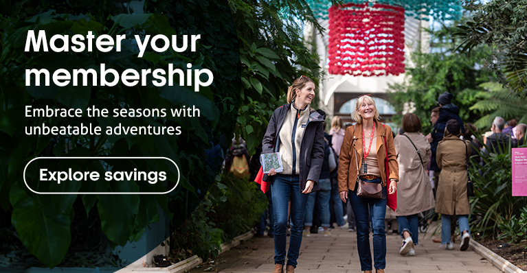 Master your membership, embrace the seasons with unbeatable adventures