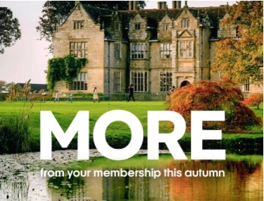 MORE from you membership
